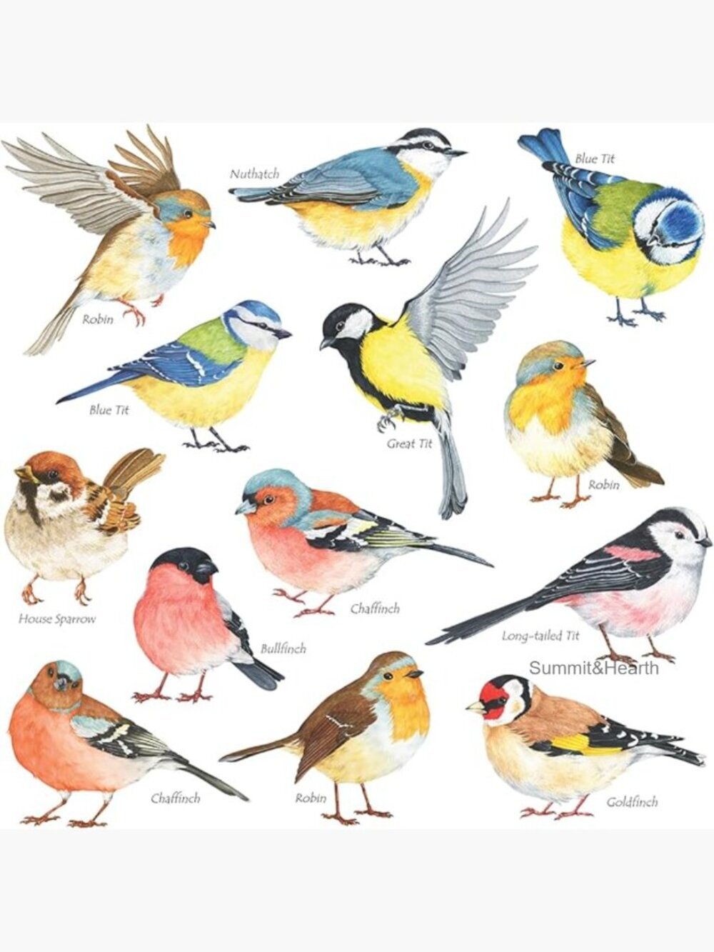 Vinyl Bird Wall Stickers for Kids Room Nursery Decor Peel Stick Removable